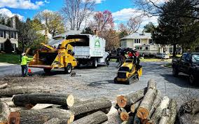 Trusted Stanleytown, VA Tree Removal and Landscaping Services Experts